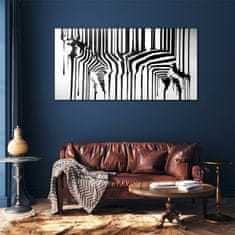 COLORAY.CZ Obraz na skle zebra 120x60 cm