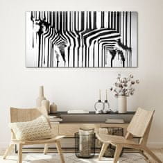 COLORAY.CZ Obraz na skle zebra 120x60 cm