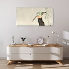 COLORAY.CZ Obraz na plátně Zvířata ptáci ledňáček 100x50 cm