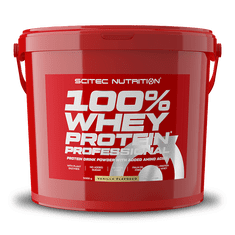 Scitec Nutrition 100% WP Professional 5000 g vanilla