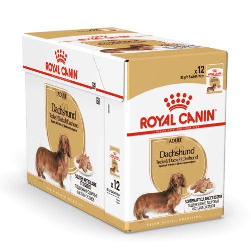 Royal Canin Dachshund kapsičky pro jezevčíky 12x85 g