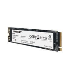 P300/1TB/SSD/M.2 NVMe/3R