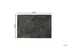 Beliani Koberec shaggy 200 x 300 cm tmavě šedý EVREN