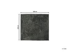 Beliani Koberec shaggy 200 x 200 cm tmavě šedý EVREN