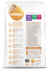 IAMS Dog Puppy Large Chicken 12kg