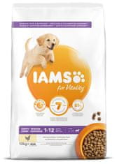 IAMS Dog Puppy Large Chicken 12kg