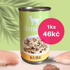 Amore dog kuře 24x140g výhodné balení