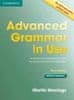 Martin Hewings: Advanced Grammar in Use 3rd edition without answers