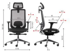 STEMA Ergonomická otočná kancelářská židle DITTER, pro domácnost i kancelář, široká škála nastavení, nastavitelné područky a hlavová opěrka, moderní vzhled, hliníková základna, černá 