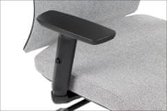 STEMA Ergonomická kancelářská židle TONO, pro domácnost i kancelář, široké možnosti nastavení, nastavitelné područky, moderní vzhled, vstřikovací pěna, synchronní mechanismus, šedá