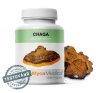 MycoMedica Chaga 90 tobolek 200 g