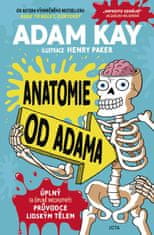 Kay Adam: Anatomie od Adama