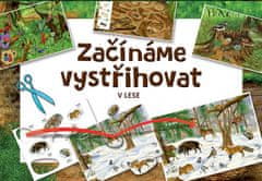 Začínáme vystřihovat V lese