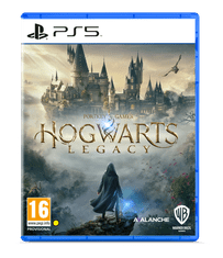 Warner Bros Hogwarts Legacy (PS5)