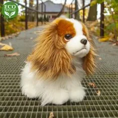 Rappa Plyšový pes king charles španěl 25 cm ECO-FRIENDLY