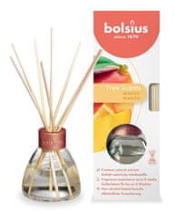 Bolsius Difuzér Bolsius True Scent Mango, vůně manga, 45 ml