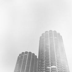 Wilco: Yankee Hotel Foxtrot (Indie) (2x LP)