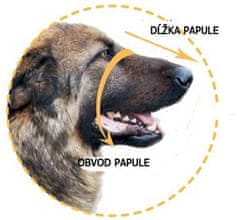 Dogextreme Kožený náhubek pro psa kokršpaněl