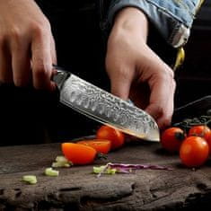 Sunnecko  Kuchyňský Santoku nůž 5" Sunnecko 73 vrstev damaškové oceli 