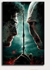 Tie Ler  Plakát Harry Potter č.095, 51.5 x 36cm 