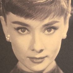 Tie Ler  Plakát Audrey Hepburn 51,5x36cm Vintage č.16 