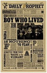 Tie Ler  Plakát Harry Potter č.087, 51.5 x 36cm 