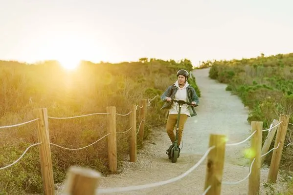 Elektrická koloběžka Segway Kickscooter P65E, dlouhý dojezd, velká baterie, velké pneumatiky, výkonná elektrokoloběžka, kotoučová brzda, NFC, Bluetooth, IPX5 ochrana, výkonný motor