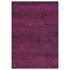 Spoltex Kusový koberec Shaggy Plus 957 Purple 60x115 cm