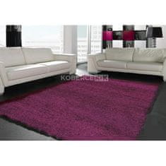 Spoltex Kusový koberec Shaggy Plus 957 Purple 60x115 cm