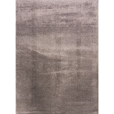 Berfin Dywany Kusový koberec Microsofty 8301 Brown 80x150 cm