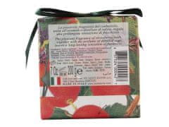 Nesti Dante Nesti Dante Gli Officinali Fruit of the strawberry bush and Sage mýdlo 200 g