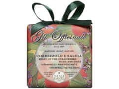 Nesti Dante Nesti Dante Gli Officinali Fruit of the strawberry bush and Sage mýdlo 200 g