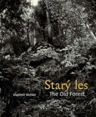 Vladimír Bichler: Starý les / The Old Forest