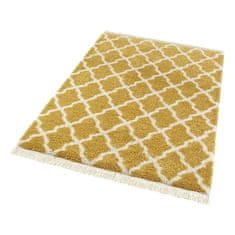 Mint Rugs Kusový koberec Desiré 103325 Gold Creme 80x150 cm