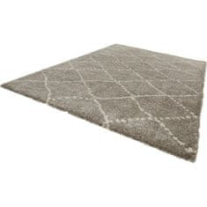 Mint Rugs Kusový koberec Allure 102752 grau creme 200x290 cm