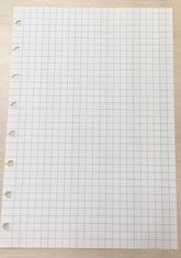 Filofax Náhradní listy Filofax Notebook - A5 / čtvereček