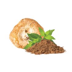 MycoMedica Hericium prášek BIO 100 g