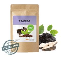 MycoMedica Polyporus prášek BIO 100g