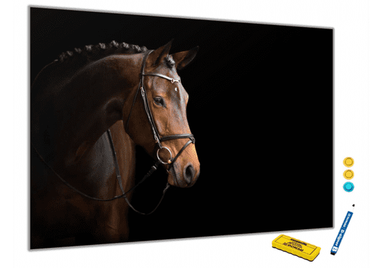 Glasdekor Metalová magnetická tabule - hnědý kůň na černém