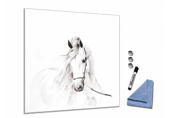 Glasdekor Skleněná magnetická tabule malovaný andaluský kůň