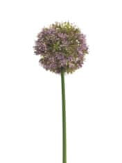 C7.cz Pažitka / šnytlík - Allium Natasja levandulová V72 cm