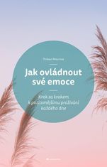 Meurisse Thibaut: Jak ovládnout své emoce - Krok za krokem k pozitivnějšímu prožívání každého dne