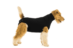 Suitical Pooperační ochranné oblečení pro psa černé 22 - 35cm