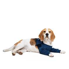 MPS Pooperační ochranný oblečení na obě přední nohy psa 12cm, obvod hrudníku: 30-43 cm