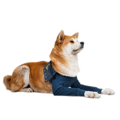 MPS Pooperační ochranný oblečení na obě přední nohy psa 12cm, obvod hrudníku: 30-43 cm