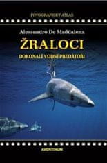 De Maddalena Alessandro: Žraloci, dokonalí vodní predátoři