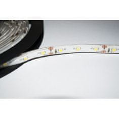 ECOLIGHT LED pásek - SMD 2835 - 5m - 60LED/m - 4,8W/m - zelený - IP65 - s konektorem