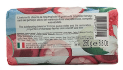 Nesti Dante Paradiso Tropicale Hawaian Maracuja & Guava mýdlo 250 g