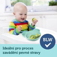 Canpol babies Talíř silikonový dělený s přísavkou Medvídek tyrkysový