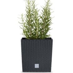 Prosperplast Květináč RATO LOW Plastové Obal 20 x 20 x 20 cm 6,8 L - Antracit + Vklad/Vložka